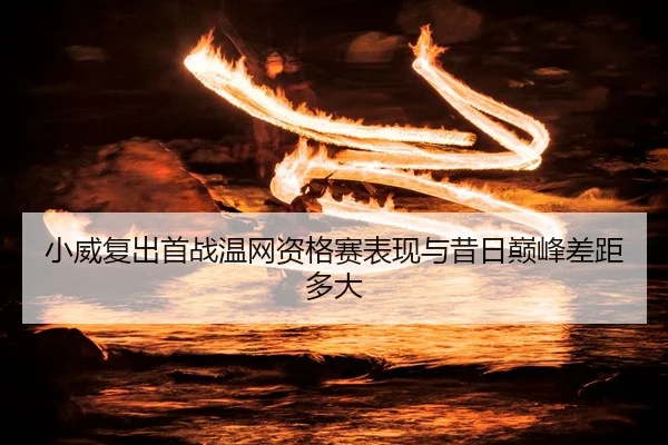 xiao-wei-fu-chu-shou-zhan-wen-wang-zi-ge-sai-biao-xian-yu-xi-ri-dian-feng-cha-ju-duo-da-2-657.jpg