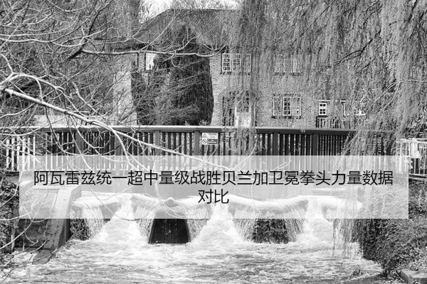 阿瓦雷兹统一超中量级战胜贝兰加卫冕拳头力量数据对比