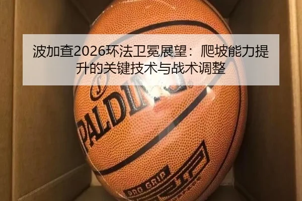 bo-jia-cha-huan-fa-wei-mian-zhan-wang-pa-po-neng-li-ti-sheng-de-guan-jian-ji-shu-yu-zhan-shu-tiao-zheng-2-252.jpg